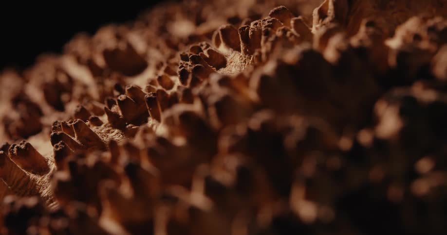 Abstract details of a stone