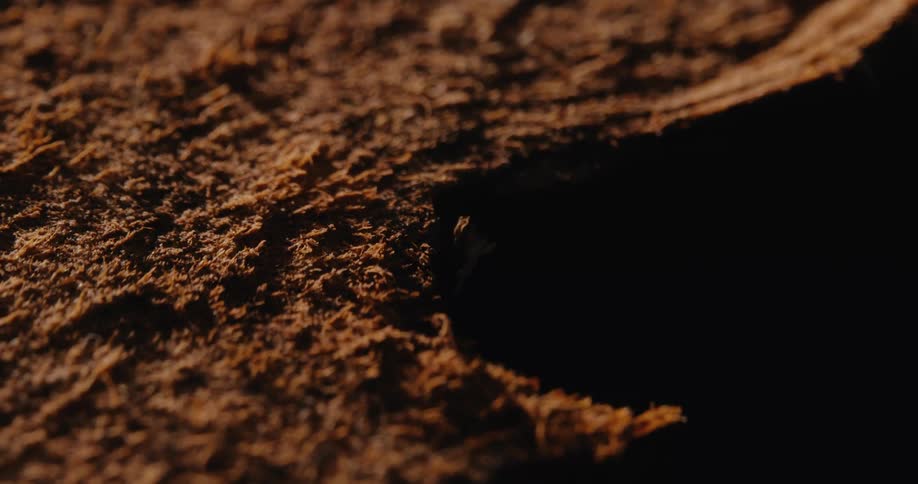 Wet desert sand illuminated by the setting sun revealing its rich texture and subtle ripples