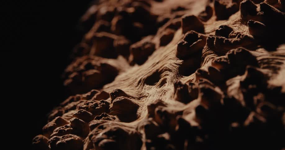 A close up of some dirt