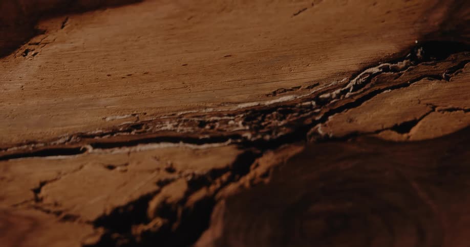 Large cracks pass through a wooden section