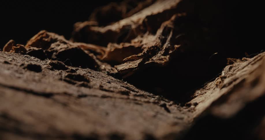 A brown earthy texture