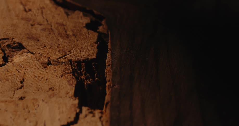 Details of a cut wood