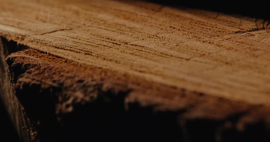 A tree trunk is sawed in half with pieces of sawdust resting on top