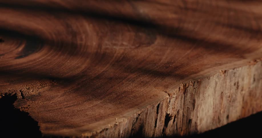 A detailed closeup shot orbits a thick slab of dark wood highlighting the circular grain and its rough natural edge