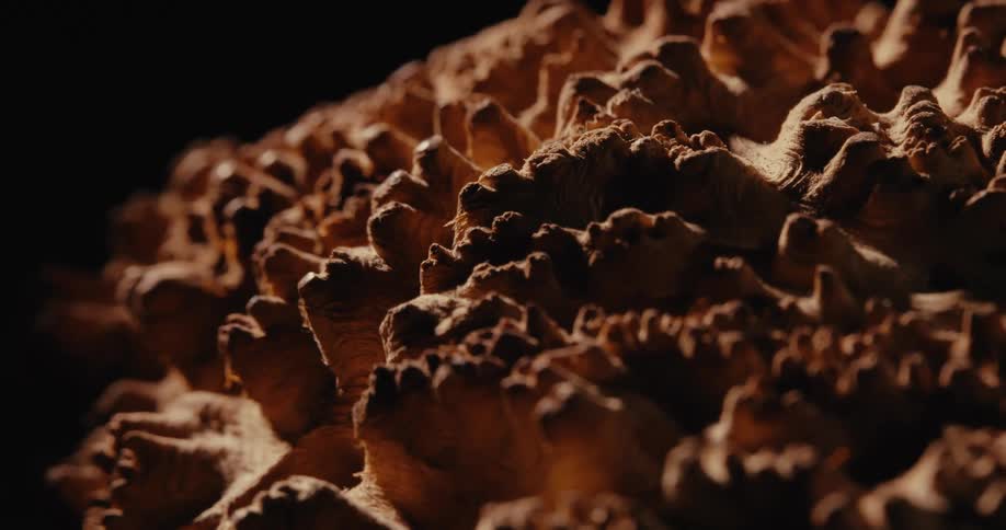 Abstract close up on wooden details