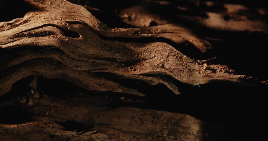 Antique wood details