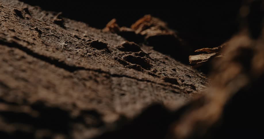 Wet sand filled with rocks