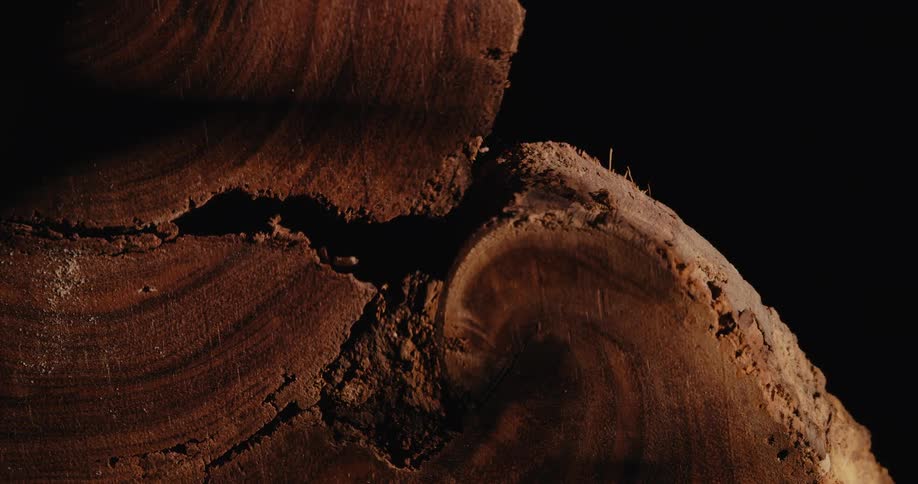 A close up of some logs