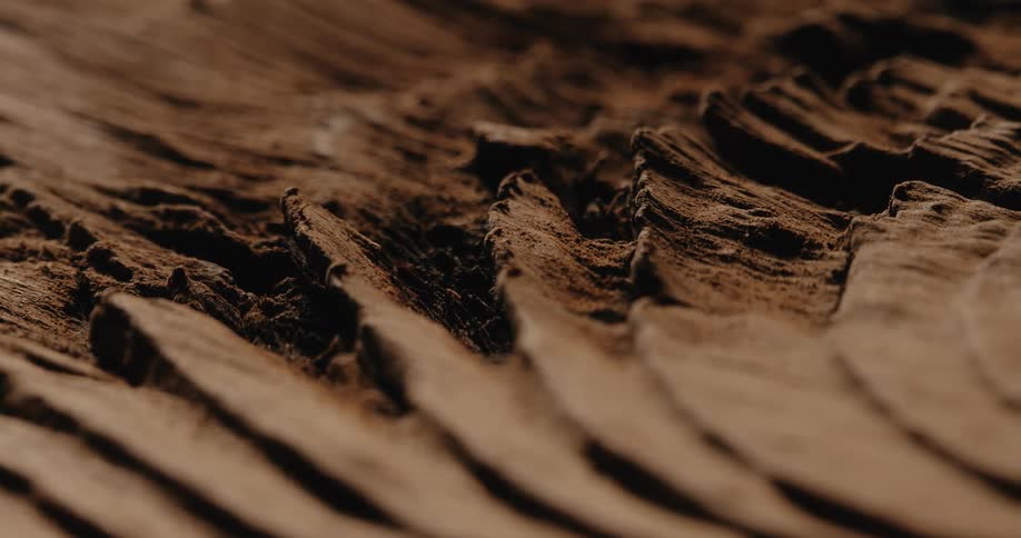 A tire track is in the dirt