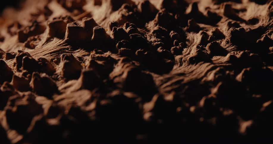 Close up details of a wood