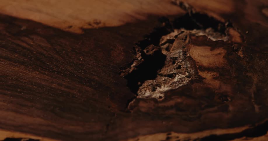 A smooth wooden surface with a dark crack in the center