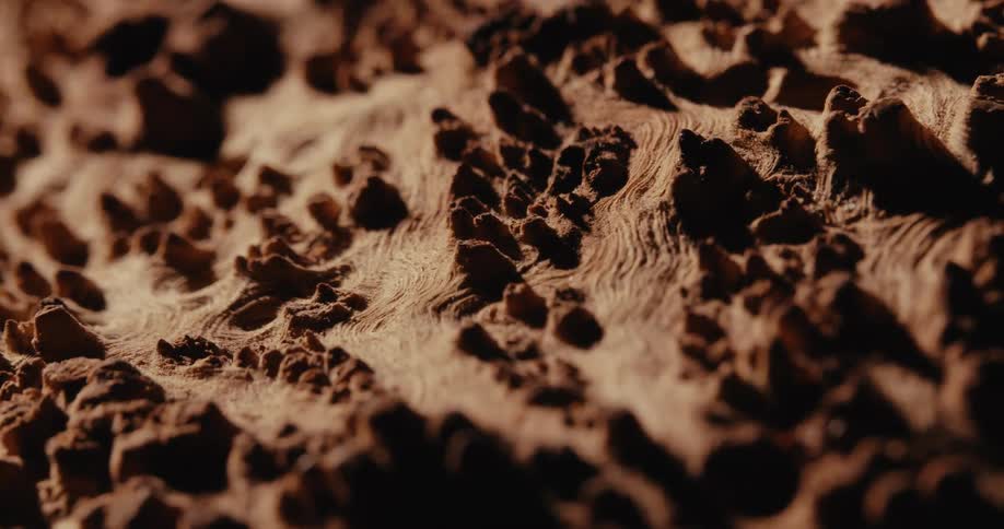 Extreme closeup details of a wooden log