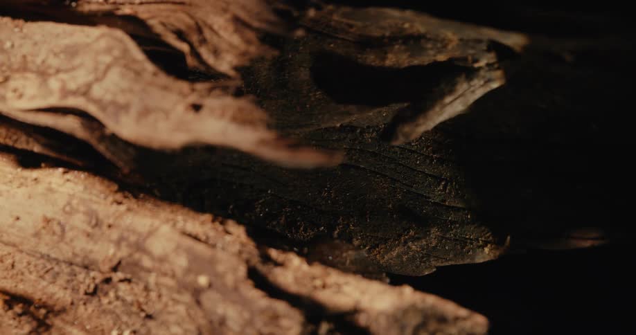 Close up of wood details
