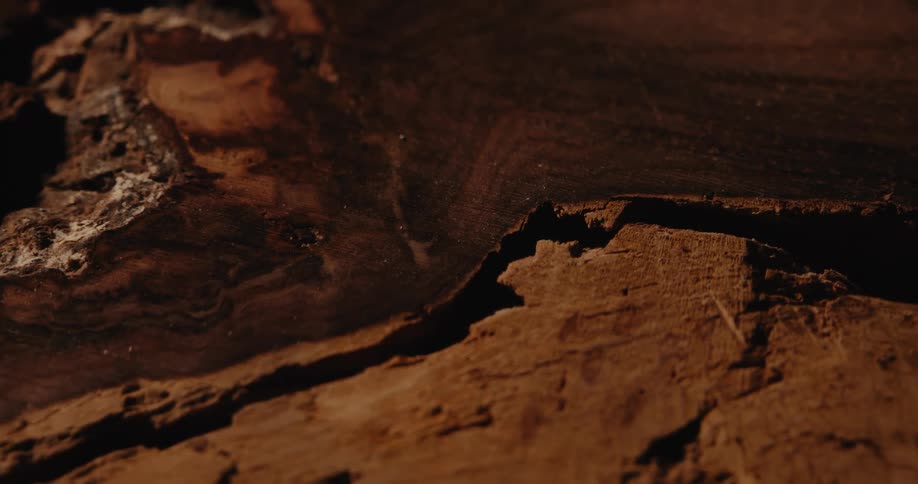 Rocky brown earth