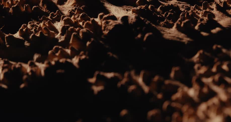 A closeup of a rugged uneven surface with ridges and valleys lit by warm directional light