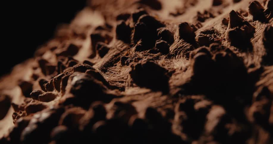 Chocolate covering forms a textured surface on a dessert