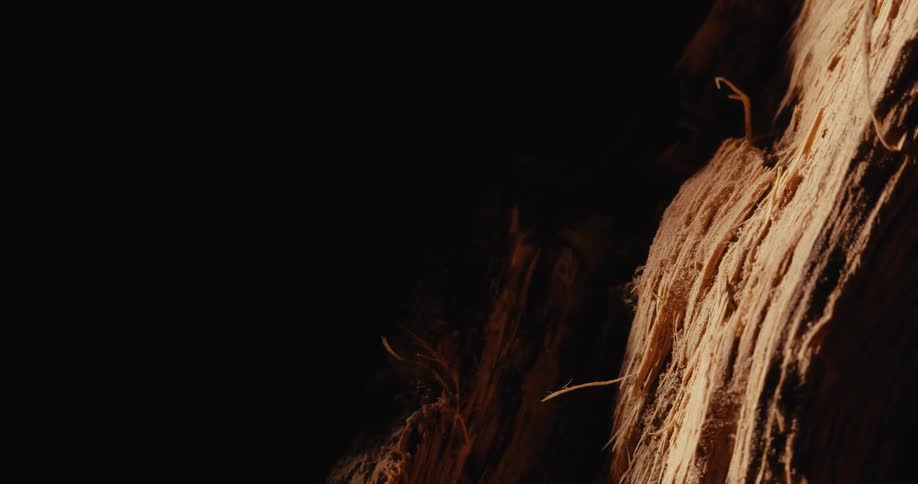 Cut wood against a black background