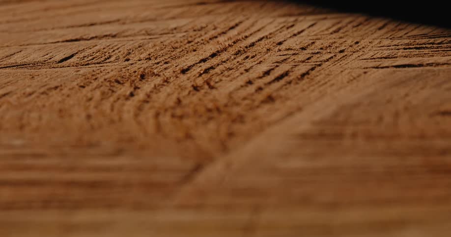 Details of sliced wood against a dark background
