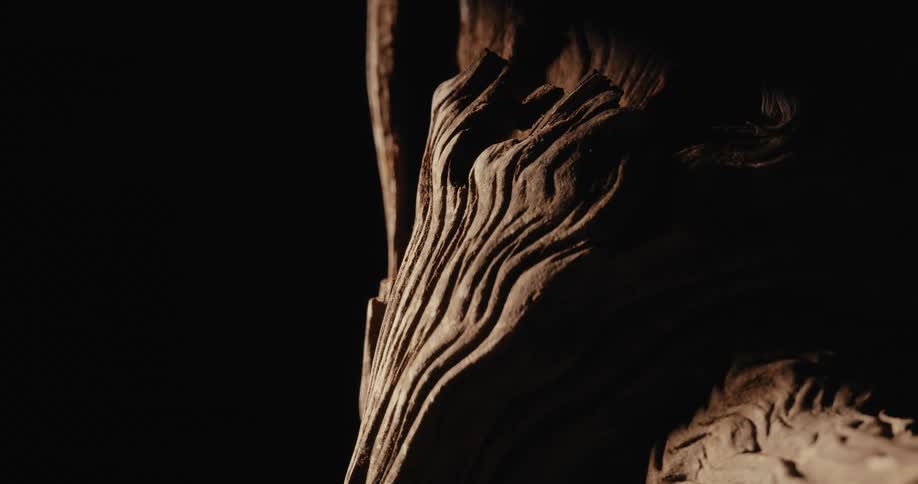Brown object with a rough textured surface stands against a dark background