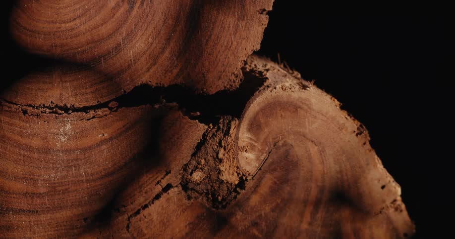 Wood knot against a dark background