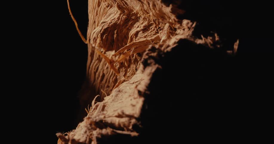 A log with a large gash is spinning in the dark
