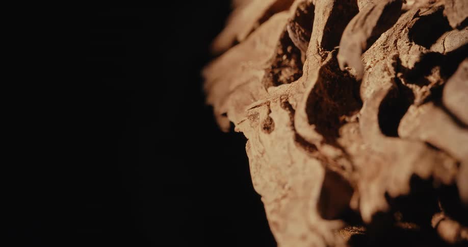 Wood with holes in detail against a black background
