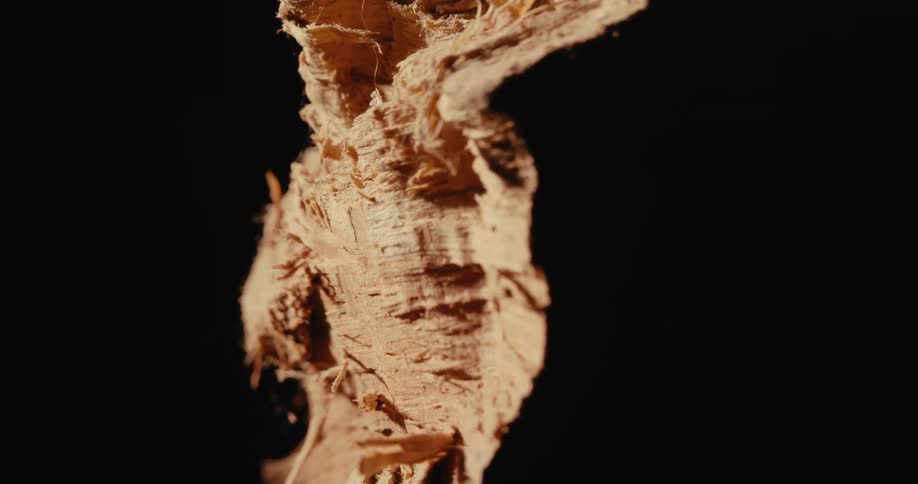 Close up of a cut piece of wood