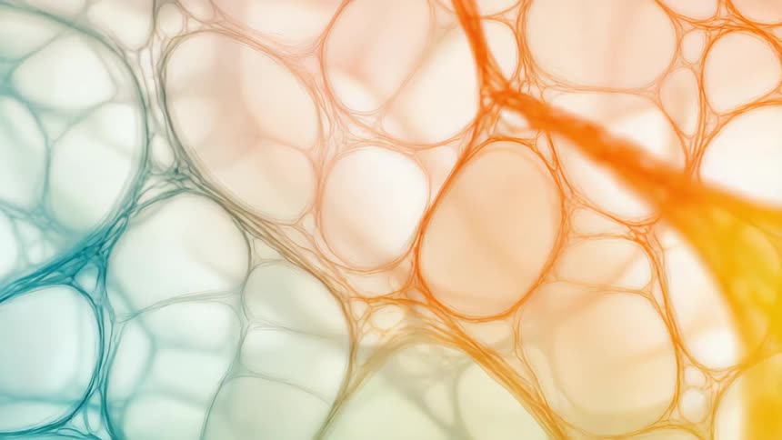 Blue and orange rounded shapes strung together