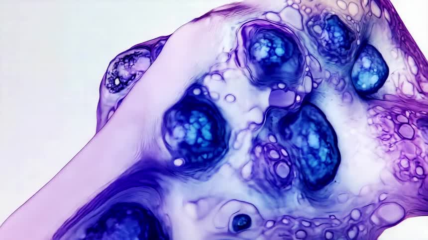 A digital 3d rendering of a transparent molecular celllike structure with purple coloring spinning suspended in space against a white background