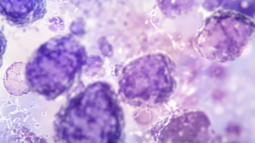 Molecules in transparent and purple coloration