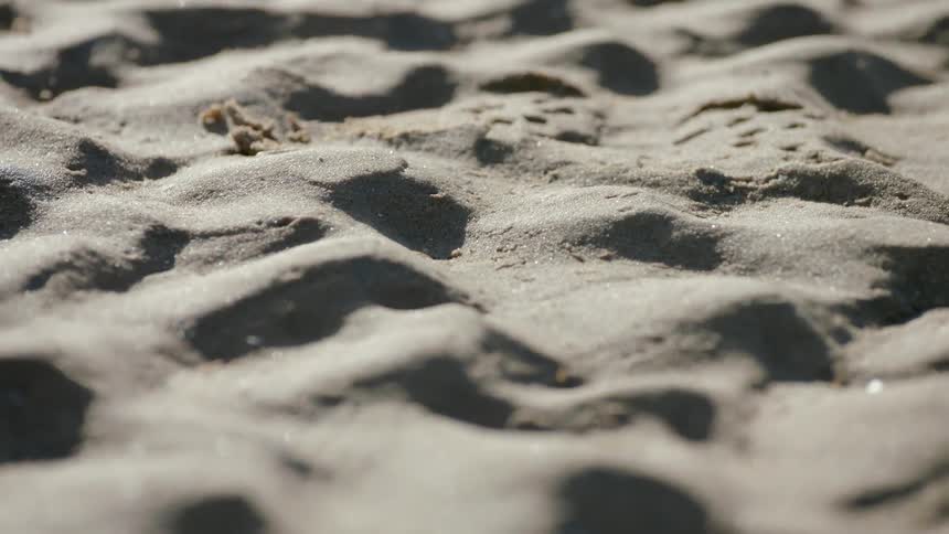 Small sandy piles strewn across a beach