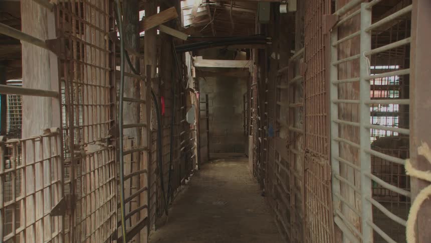The inside of a barn