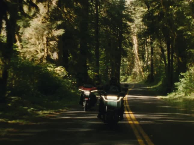Two motorcyclists drive along a road that passes through a forested area