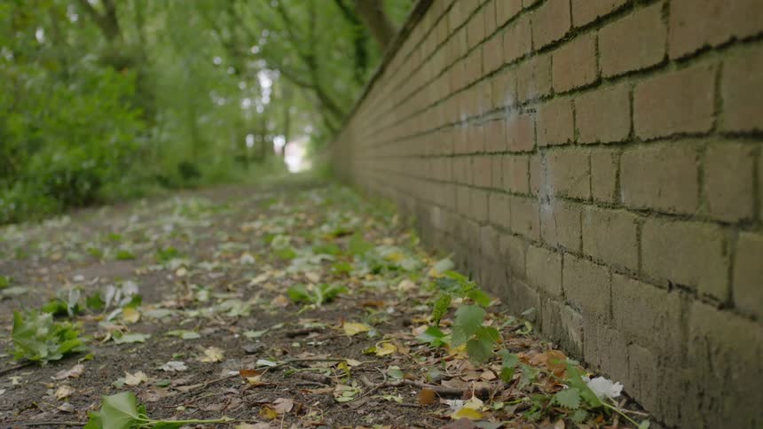 Green leaves on the ground on path next to brick wall
