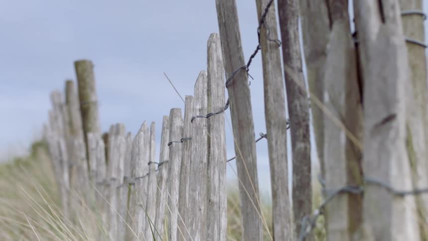 A wooden fence has tall grass around it