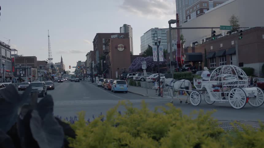 Person riding in a horse and carriage goes down a busy city street