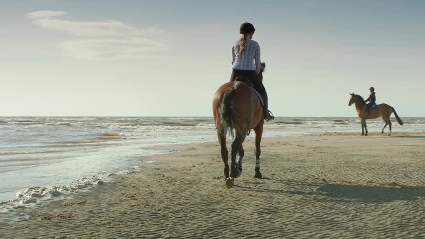 People ride horses on the beach