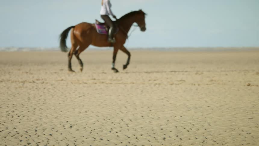 A person is riding a horse on a long field