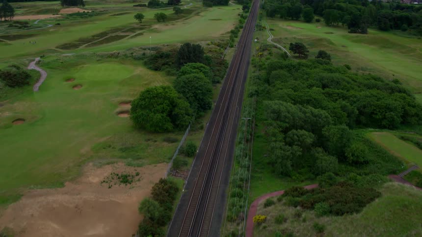 Trees line alongside railroad tracks