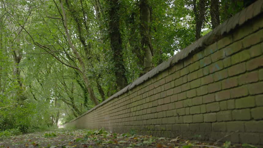 Leaves are scattered on the ground near a wall on a pathway