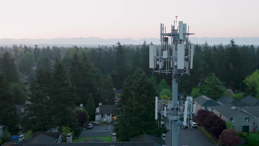 A cell tower stands tall above a suburban neighborhood surrounded by dense trees at dawn