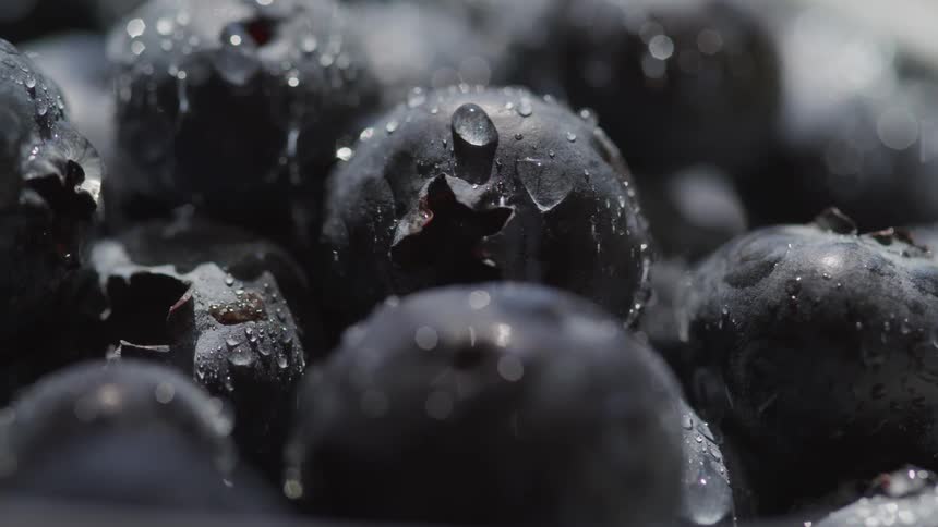 A bowl of blueberries
