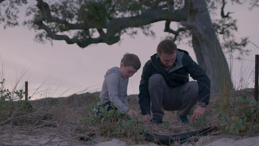 A father and son dig through the grass in a grassland at midday
