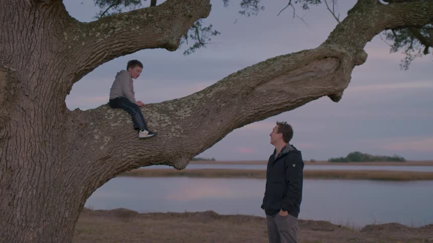 A child sits on a large tree branch while his father stands below near a calm lake with an island in the distance