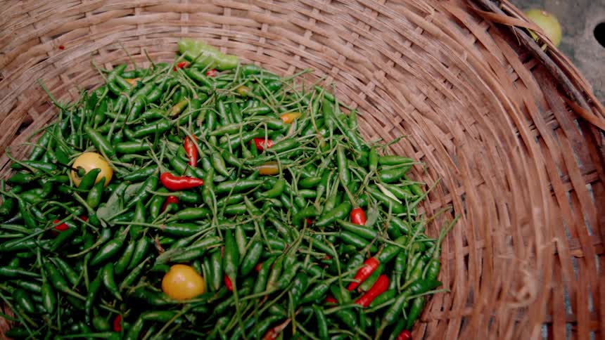 A basket of fresh peppers