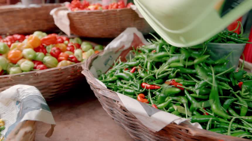 At a vibrant food stall freshly harvested green chili peppers are poured from a scoop into a large woven basket for sale with other colorful pepper varieties visible in the background