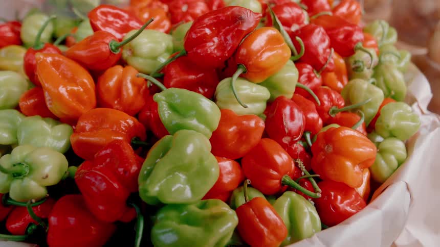 A group of different colored bell peppers are grouped together