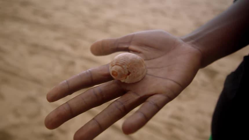 Man opening his palm revealing a smooth conch shell at the beach