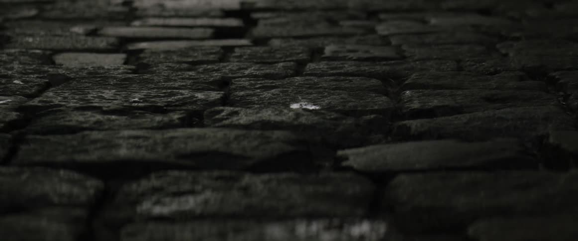 The cobblestone walkway is in shade