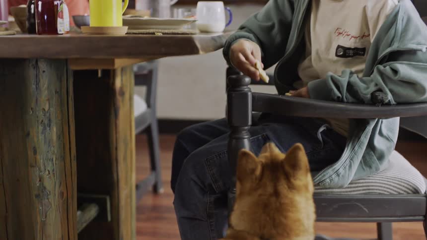 A teenage boy wearing a cap is taking a piece of food from the table and giving it to a dog that is next to him